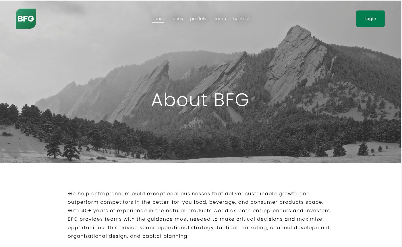 BFG Partners home page before the redesign